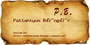 Pattantyus Böngér névjegykártya